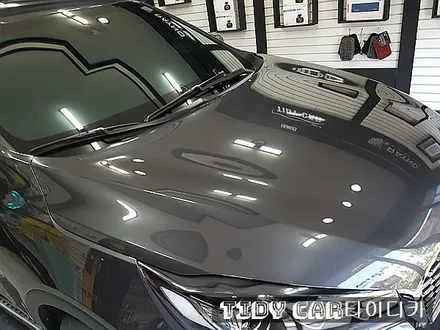 부산PPF 해운대PPF PPF전체 본네트PPF 타이디카 생활보호PPF 부산PPF잘하는곳 / 부산,해운대구
