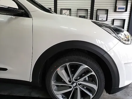 부산PPF 해운대PPF 타이디카 레이노썬팅 신차검수 니로 올뉴쏘렌토 BMW 벤츠 PPF 생활보호 / 부산,해운대구