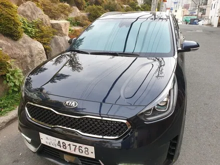 부산신차검수 해운대신차검수 타이디카 레이노크로마 R9 크로마R9 레이노반사 니로 / 부산,해운대구