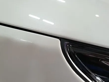 부산PPF 해운대PPF 타이디카 레이노썬팅 신차검수 니로 올뉴쏘렌토 BMW 벤츠 PPF 생활보호 / 부산,해운대구
