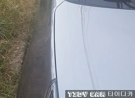 부산 썬팅 크로마R7 R9 반사필름 레이노 타이디카 / 부산,해운대구