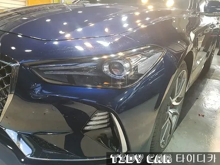 부산검수 PPF 해운대 타이디카 제네시스G70 레이노썬팅 / 부산,해운대구