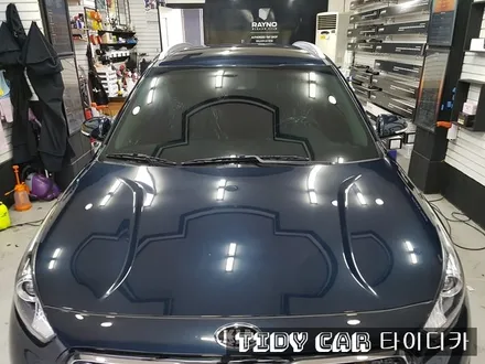 부산PPF 해운대PPF 해운대신차 부산신차 해운대썬팅 해운대레이노 타이디카 기아 니로 / 부산,해운대구