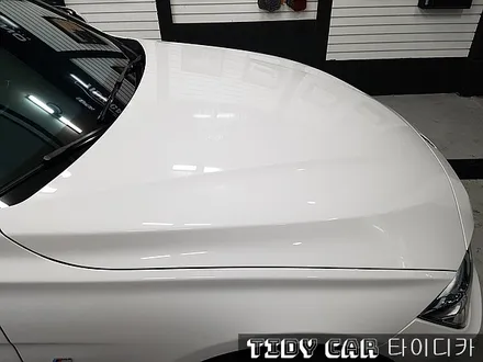 부산 신차검수 해운대 타이디카 BMW PPF전체 레이노썬팅 썬팅 잘하는곳 / 부산,해운대구