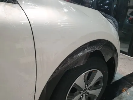 부산PPF 해운대PPF 타이디카 레이노썬팅 부산신차검수 해운대신차검수 부산전체PPF 크로마R9 니로 니로전체PPF / 부산,해운대구