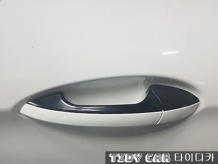 부산 전체랩핑 PPF  전체PPF 타이디카 / 부산,해운대구