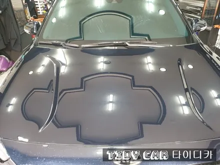 부산PPF 해운대PPF 타이디카 레이노썬팅 부산신차검수 해운대신차검수 본네트PPF 생활보호 니로 / 부산,해운대구