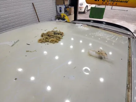 인천루프스킨 루프스킨은 영구적시공이 아닙니다!! / 인천 부평동