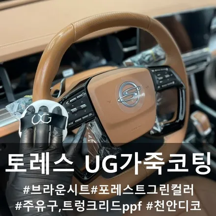 토레스 UG 가죽 코팅 :: 천안 가죽 코팅 토레스 브라운 시트 토레스 포레스트그린 / 천안시 동남구 신방동