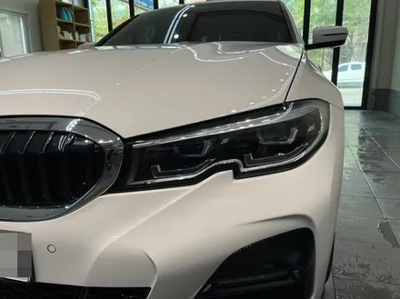 BMW 320i PPF :: 헤드라이트, B필러, 트렁크, 엣지 ppf / 천안시 동남구 신방동