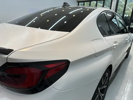 천안 PPF BMW 530e 전체 무광 상세 사진 포함 / 천안, 아산, 세종, 대전
