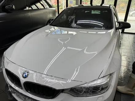천안 PPF F80 M3 본넷 + 루프 시공, 무흔 / 천안시 동남구 신방동