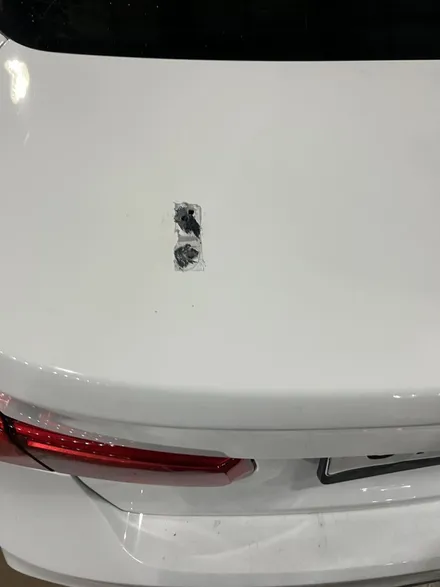 BMW F80 M3 스포일러 장착 작업 안산 / 경기 안산