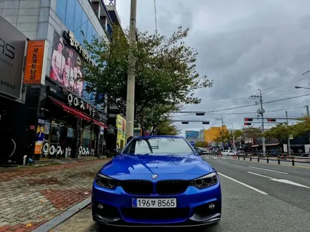 BMW 4 serise PPF 헤드라이트 (스모그) 시공 / 포항시 남구 오천읍