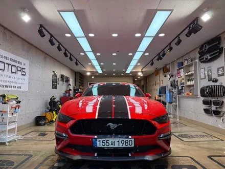 FORD mustang PPF 헤드라이트 (스모그) 시공 / 포항시 남구 오천읍