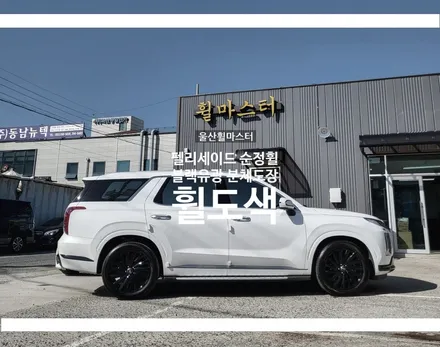 [울산휠마스터] 펠리세이드 블랙유광 분체도장 휠도색 [울산휠도색, 울산휠수리, 울산휠복원] / 울산 북구