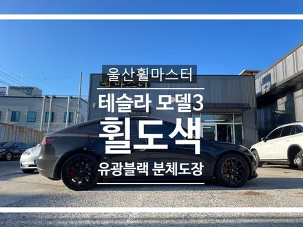 울산휠마스터 테슬라 모델3 유광블랙 분체도장 휠 복원 도색 / 울산 북구