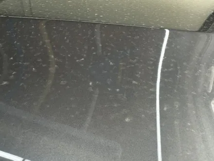 청주 detail_lee_wash 디테일링 세차 전문 BMW E바디 X5M 디테일링 세차 & 왁스 코팅 / 청북 청주