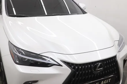 인천 PPF 시공:렉서스 NX 350h 전체 PPF!서해구ppf,제물포구ppf,영종구ppf,미추홀구ppf,남동구ppf,숭의동ppf,서창동ppf,검단구ppf,가좌동ppf,청천동ppf / 인천 연수구 송도동