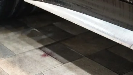안양 광택 벤츠GT43 폴리싱으로 신차 기분 폴폴 / 안양시 동안구 평촌동