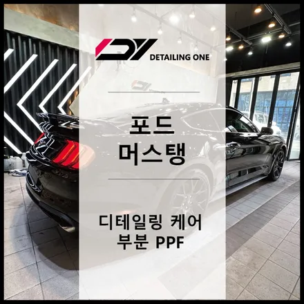중랑구 PPF 및 디테일링 세차 작업 : 포드 머스탱 / 서울 중랑구 망우동