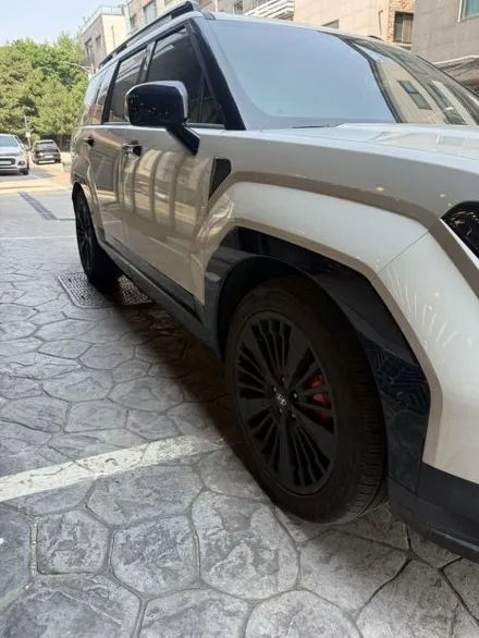 안양 싼타페MX5 블랙잉크 사이드몰딩 풀 패키지 교환!!