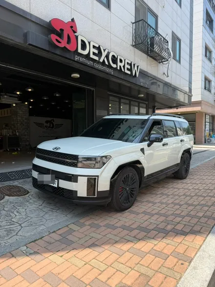 안양 싼타페MX5 블랙잉크 사이드몰딩 풀 패키지 교환!!