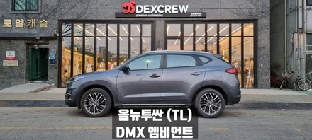 DMX엠비언트 안산 올뉴투싼TL 자동차 무드조명등 시공 / 안산,시흥,부천