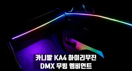 안산 시흥 화성 카니발KA4 무드등 DMX엠비언트 튜닝 / 안산,시흥,부천