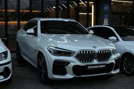 BMW X6에 내가 제일 좋아하는 필름인 보그!