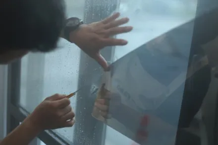 2022 팰리세이드 가장 잘 어울리는 윈도우 필름