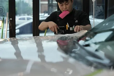 요즘 뜨는 판타스틱 썬팅, 팰리세이드와 만나다