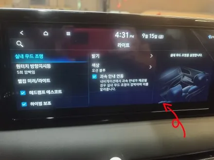더뉴 팰리세이드 순정 연동 엠비언트 무드등 / 대전 서구
