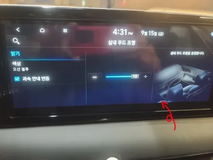 더뉴 팰리세이드 순정 연동 엠비언트 무드등 / 대전 서구