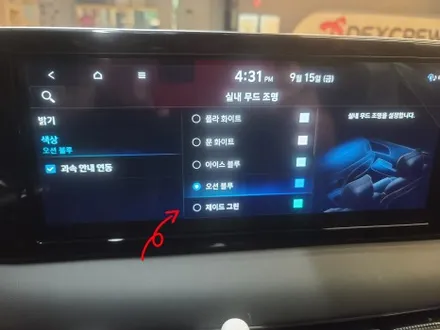더뉴 팰리세이드 순정 연동 엠비언트 무드등 / 대전 서구