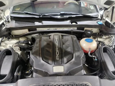포르쉐 마칸 GTS 숨어있는 출력 찾기, 레이스칩 GTS 블랙으로 해답을 찾아보세요