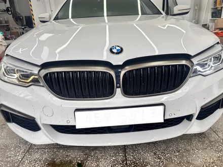 BMW 5시리즈 530i MSP G30 - 엔젤아이 황변, 누렇게 변해버린 아크릴 교환으로 완벽한 LED 데이라이트 수리 / 대전 서구 탄방동