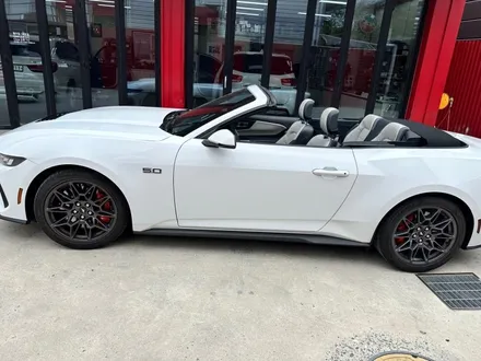 7세대 포드 머스탱 컨버터블 오픈카 - 원터치 오픈모듈 시공을 통해 편안한 뚜따 튜닝! / 대전 서구 탄방동