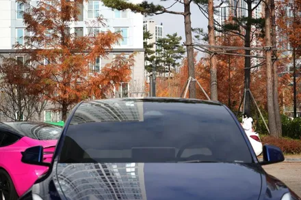 모델Y 블루 하버캠프 세라믹본드 베스트본드 썬팅농도 / 남양주 다산동