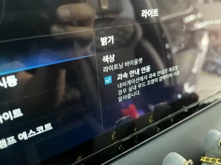 팰리세이드 순정엠비언트 활성화, 아이들이 너무 좋아해요 / 인천 남동구