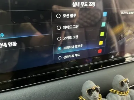 팰리세이드 순정엠비언트 활성화, 아이들이 너무 좋아해요 / 인천 남동구