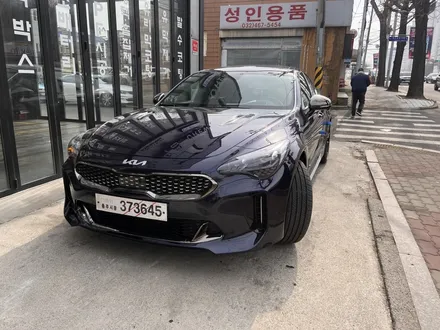 스팅어 신차패키지 인천에서 미친 가성비에 또 한번 놀라! / 인천 남동구