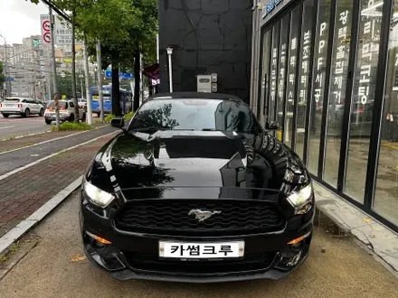 블락포디 스카이블루 머슬카 머스탱도 반한 색감 / 인천 남동구