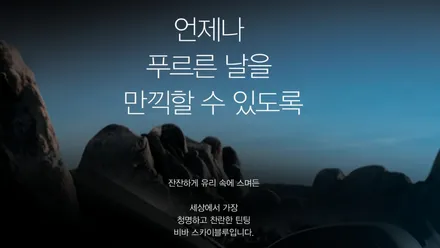 블락포디 스카이블루 가을과 어울리는 반사필름 추천 / 인천 남동구