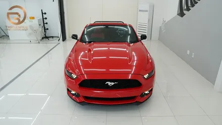 (분당 랩핑 ppf) 머스탱 컨버터블 카민레드 전체시공 / 성남시 수정구 시흥동