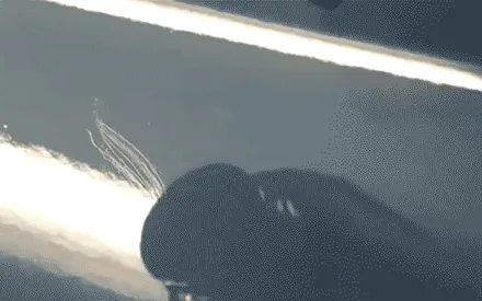 포르쉐 카이엔쿠페 이노즈텍 어반밤부 전체랩핑 / 성남,판교,분당.강남