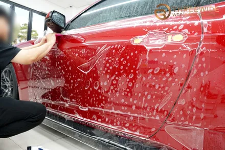7세대 포드 머스탱 GT 5.0 컨버터블에게 반드시 필요한 시공! (#전체PPF #윈드쉴드 #분당 #판교) / 성남시 수정구 시흥동