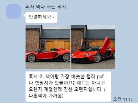람보르기니 아벤타도르 로드스터 컬러PPF 작업으로 새차 만들기 / 성남시 수정구 시흥동