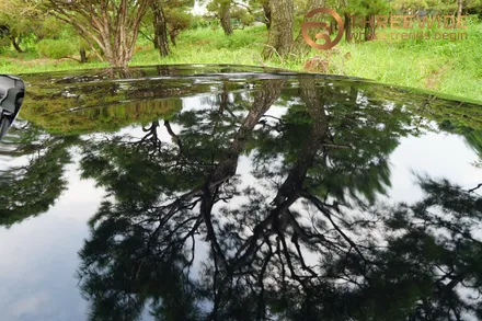 bmw i7 투톤랩핑 블랙ppf / 성남,판교,분당.강남