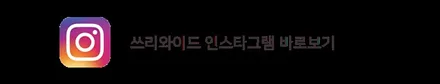 (분당 PPF) 테슬라 모델3 스머프 랩핑 / 성남,판교,분당.강남